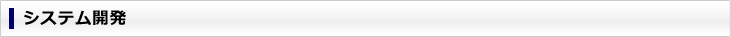システム開発